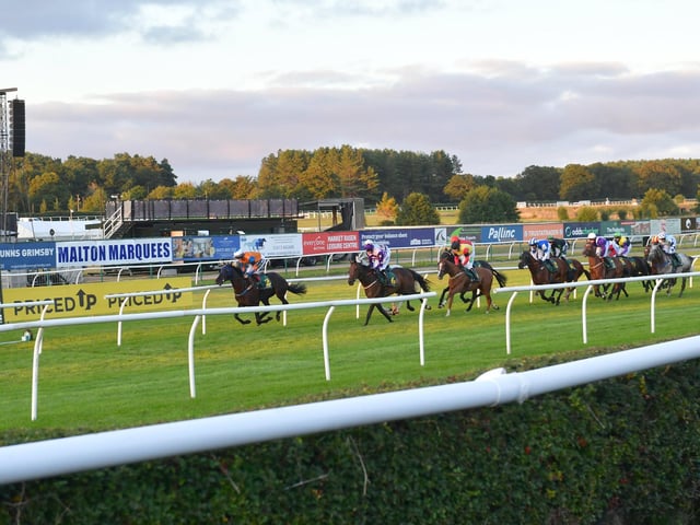 A full programme at the races. Photo: David Dawson
