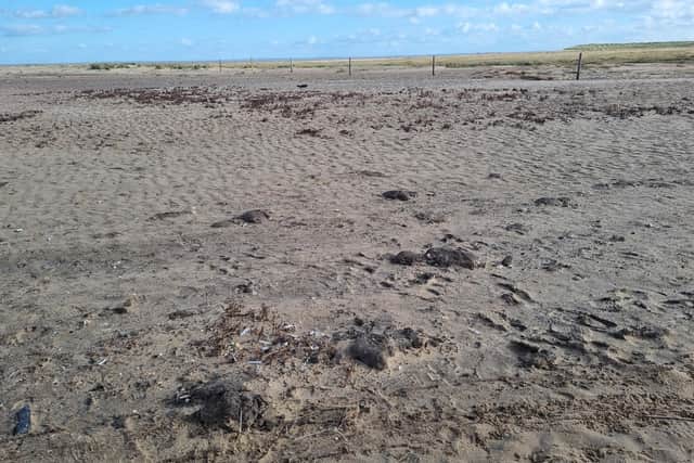 A reader was horrified to discover what she believed was treated sewage on the beach at Gibraltar Point.