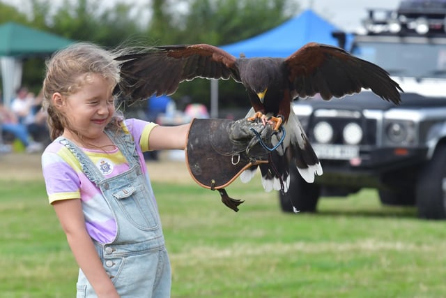 The Falconry & Little Nippers display in the main ring.