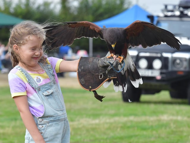 The Falconry & Little Nippers display in the main ring.