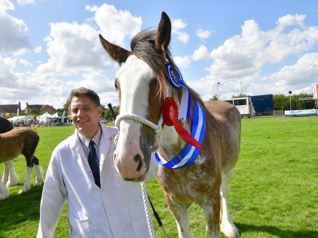 Heavy Horse parade. Matt Burks of Frithville with Reserve Champion, Ouchengree Floss