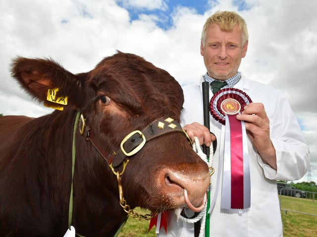 Livestock judging. Martin Clough of Halton Holegate with his male champion, Beverley Brigadier