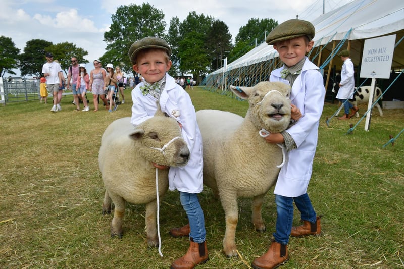 Ernie Trofer-Cook, 5 and Stanley Trofer-Cook, 6 of Billinghay with Southdown sheep, owned by Sophie Davies of Revesby.