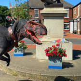 Meet Pete at market towns across East Lindsey this summer. Image: ELDC