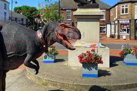 Meet Pete at market towns across East Lindsey this summer. Image: ELDC