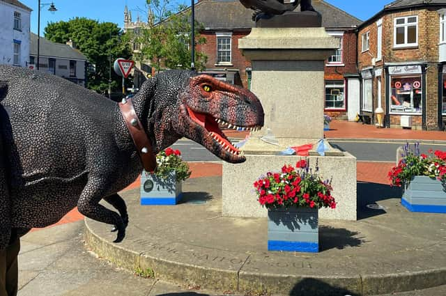 Meet Pete at market towns across East Lindsey this summer. Image: ELDC