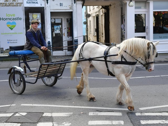 Striding out in aid of a good cause at the harvest festival carriage-drive in Horncastle is this lovely grey horse belonging to Didi Riders And Drivers.