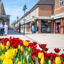 Springfields Designer Outlet in bloom