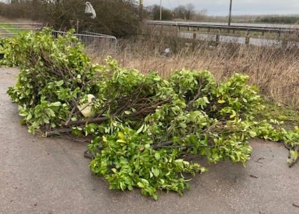 The council warned that trees and garden waste are still classed as fly-tipping when they are dumped on private or public land.