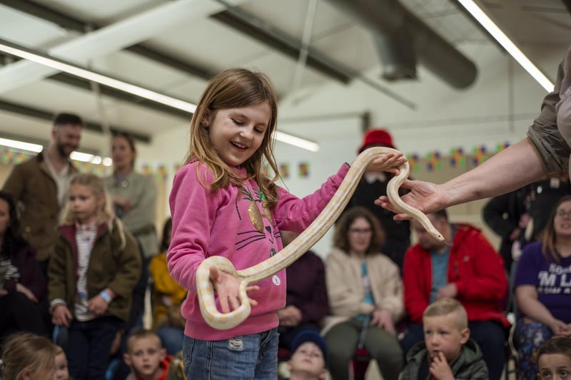 Piper Matthews, aged seven, at snake handling at the Creature Ark. Photo: Holly Parkinson