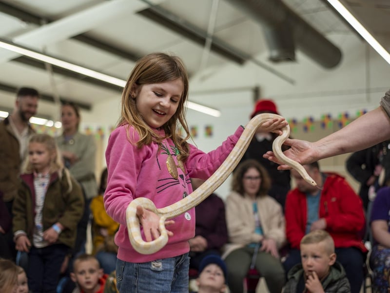 Piper Matthews, aged seven, at snake handling at the Creature Ark. Photo: Holly Parkinson