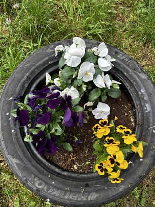 Sixth form students have planted up some old car tyres with flowers