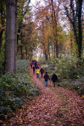 South Ormsby Estate is offering daily guided walking tours this autumn and winter.