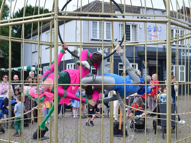 Acrobatic moves inside the birdcage.