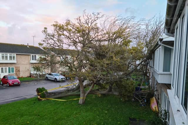 Heavy winds from Storm Claudio have upended a tree causing it to fall down on flats on a Bognor Road.
Pic by Neil Cooper