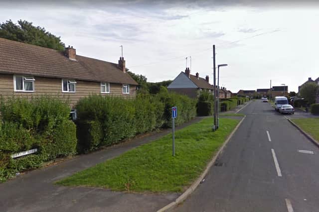 Police officers were called to Beech Rise in Sleaford last Tuesday after reports f three dogs on the loose. Photo: Google