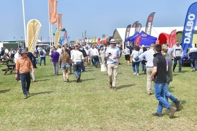The sun attracted the crowds to Cereals.