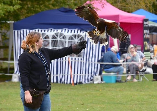 Fens Falconry display.