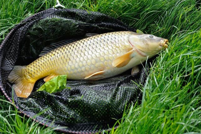 The Miracle Baits Fur and Feather raises money for good causes and is a hotly anticipated event.