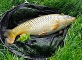 The Miracle Baits Fur and Feather raises money for good causes and is a hotly anticipated event.