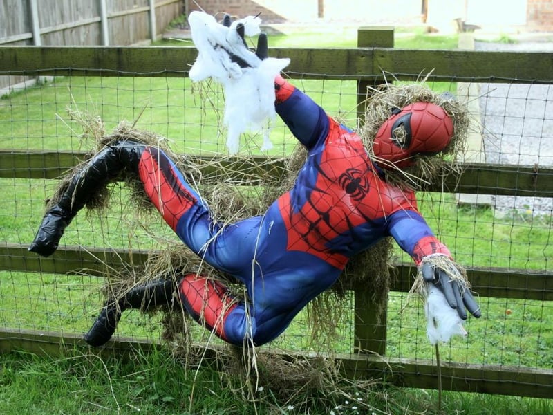 'Anybody call for a web-slinger?' - a Marvel-ous entry.