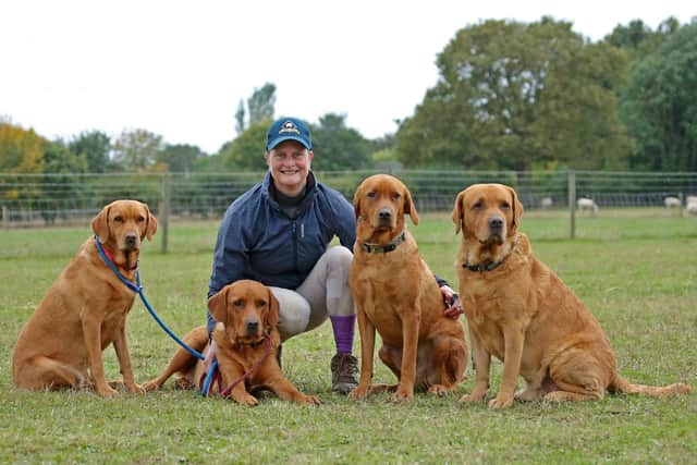 Teri England with her beloved labradors