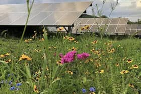 The area around the solar panels could be used for sheep grazing.