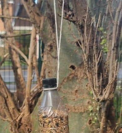 A group of students with SEND made bird feeders out of recycled plastic bottles