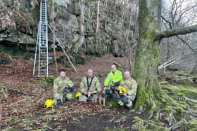 Watch the moment a stranded dog gets rescued from a cliff