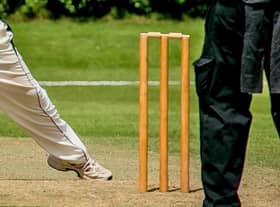 Cricket news.