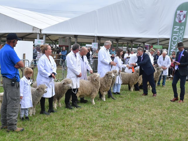 Livestock judging