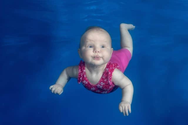 Dinky Dolphins are looking for a warm pool where babies can learn to swim.