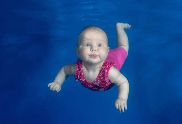Dinky Dolphins are looking for a warm pool where babies can learn to swim.