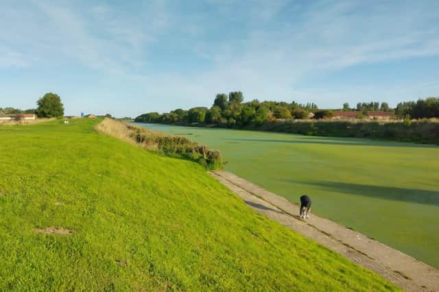 A photo of the green river taken from near to Boston Rowing Club by @scullerbob on Twitter.