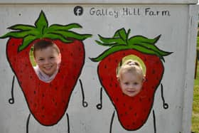 Hugo Fenwick, 6, and Hermione Fenwick, 2, of Alford