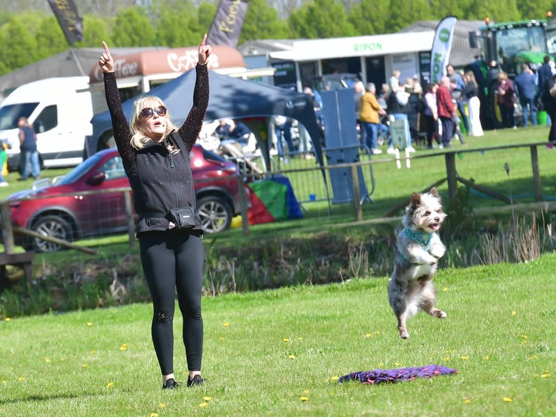 The Trickstars performing in the Countryside Ring