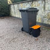 The new food waste caddy compared to a standard black wheelie bin. Photo: SKDC