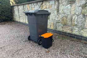 The new food waste caddy compared to a standard black wheelie bin. Photo: SKDC