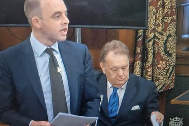 Boston and Skegness MP Matt Warman (left) addressing Westminster Hall on pylons, with Sir John Hayes (South Holland) seated.