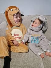 · Lion and the elephant from Dear Zoo.