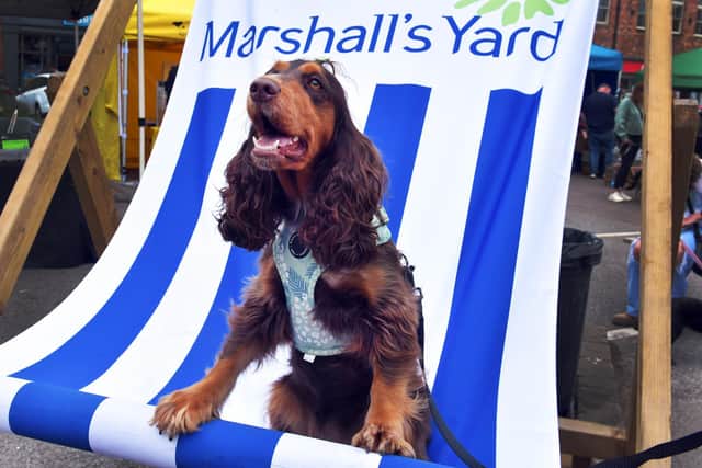 With more than 20 themed stalls, live entertainment, photo opportunities, pup cups and more, the Barket promises a truly tail‑wagging day out
