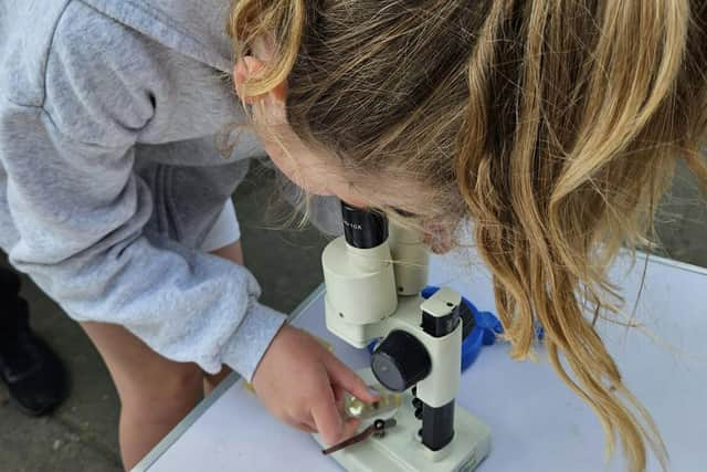 The Nature Lab is visiting Market Towns in Lincolnshire.