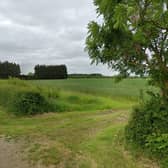 Land near Burton Gorse, White Cross Lane, North Kesteven, where a new solar farm is proposed for. Credit: Google