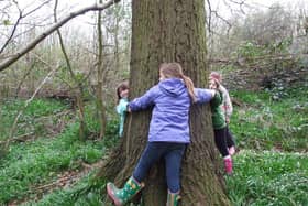 The Lincolnshire Young Environmental Awards are now open.