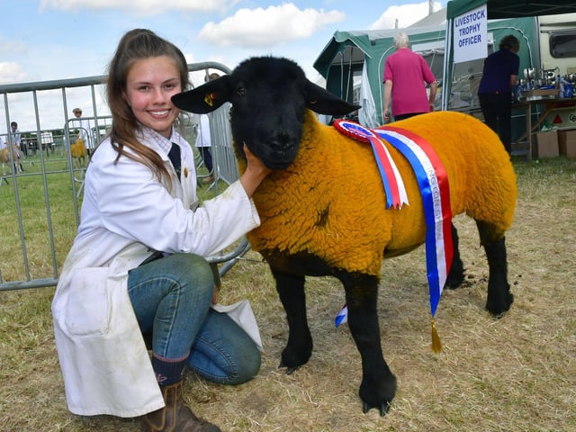Livestock judging. Emily Boby of Newark with Dior - Native Champion and Suffolk Champion