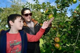 Exploring the orchard are Jenny Harrison and George Harrison, 8, of Louth