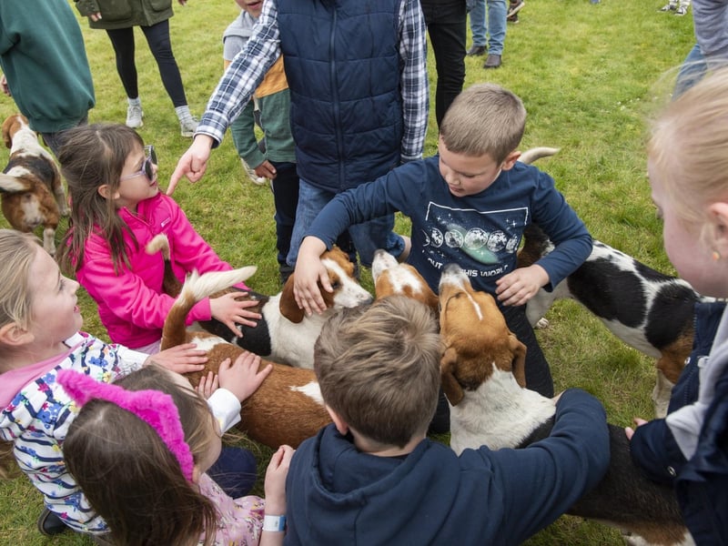 Families meet the East Lincs Basset Hounds.
