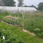 The community garden site off Old Gallamore Lane. Image: Yvonne Horrocks