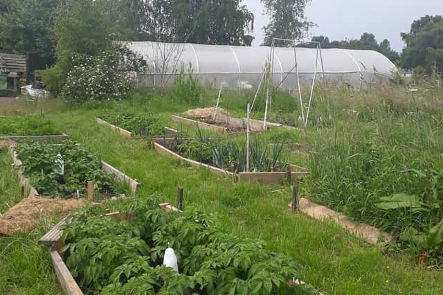 The community garden site off Old Gallamore Lane. Image: Yvonne Horrocks