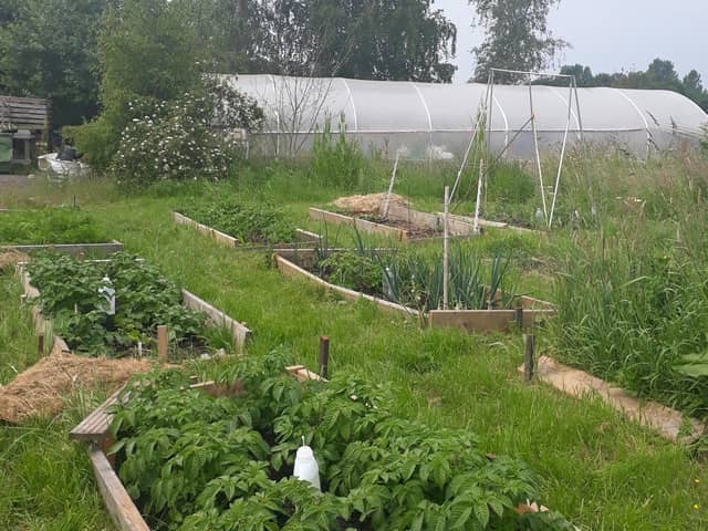 The community garden site off Old Gallamore Lane. Image: Yvonne Horrocks